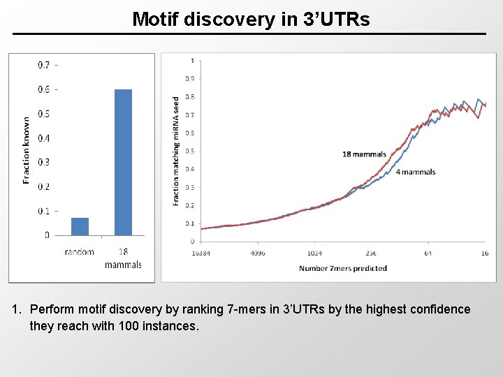 Motif discovery in 3’UTRs 1. Perform motif discovery by ranking 7 -mers in 3’UTRs