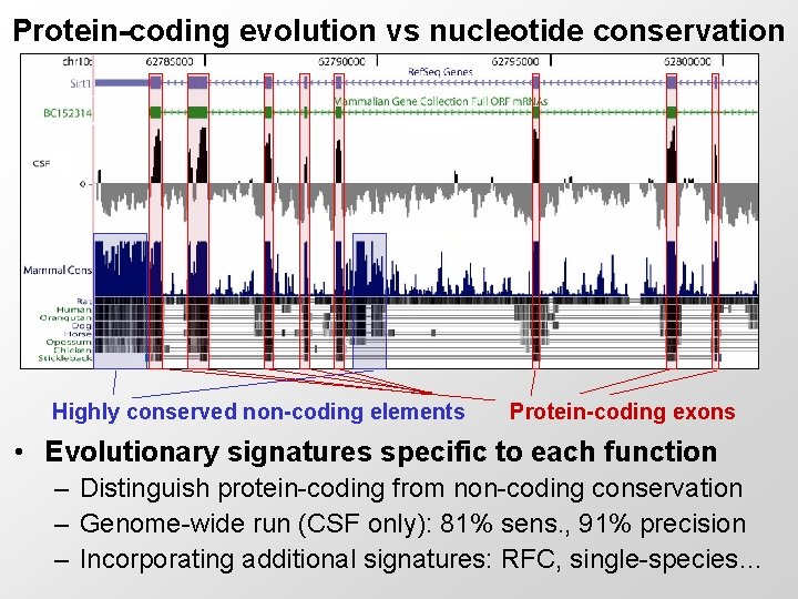 Protein-coding evolution vs nucleotide conservation Highly conserved non-coding elements Protein-coding exons • Evolutionary signatures