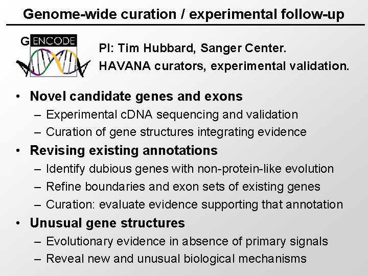 Genome-wide curation / experimental follow-up G PI: Tim Hubbard, Sanger Center. HAVANA curators, experimental
