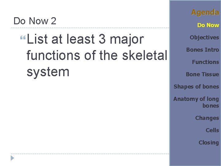 Do Now 2 List at least 3 major functions of the skeletal system Agenda