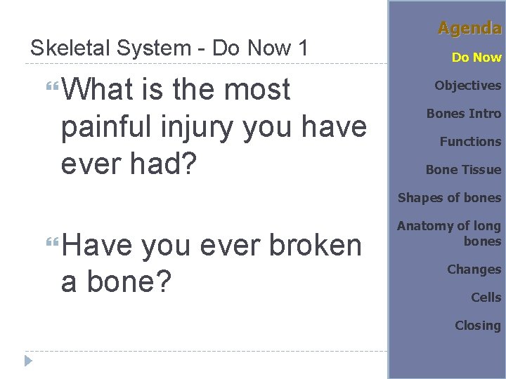 Skeletal System - Do Now 1 What is the most painful injury you have