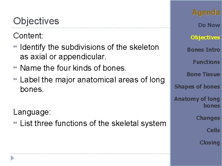 Objectives Content: Identify the subdivisions of the skeleton as axial or appendicular. Name the