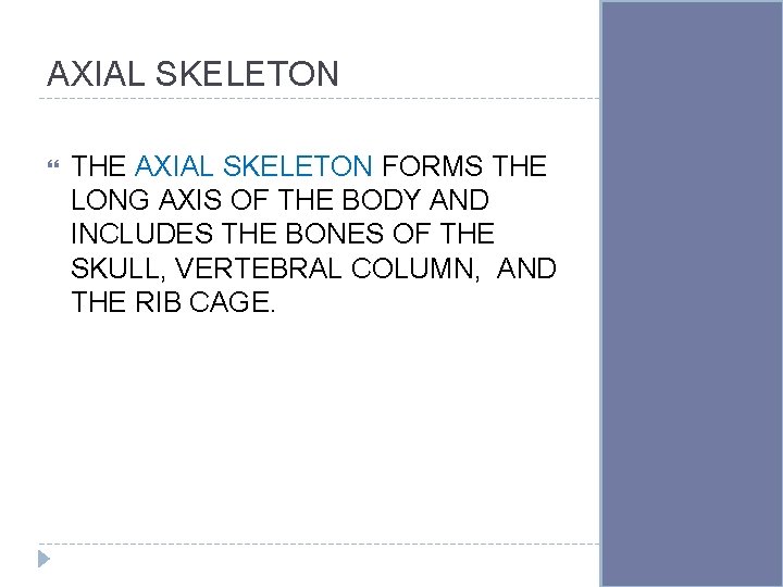 AXIAL SKELETON THE AXIAL SKELETON FORMS THE LONG AXIS OF THE BODY AND INCLUDES