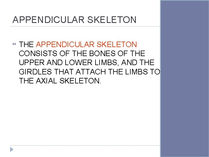 APPENDICULAR SKELETON THE APPENDICULAR SKELETON CONSISTS OF THE BONES OF THE UPPER AND LOWER