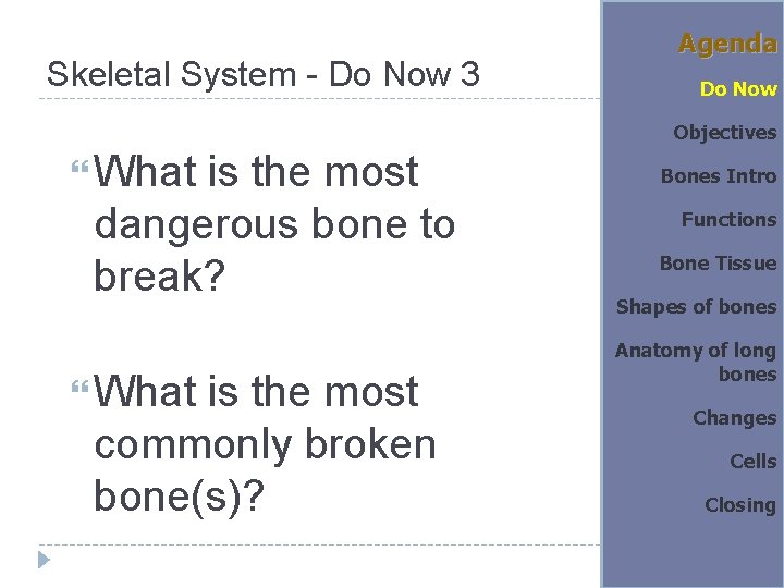 Skeletal System - Do Now 3 Agenda Do Now Objectives What is the most