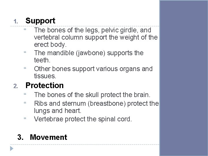 1. Support 2. The bones of the legs, pelvic girdle, and vertebral column support