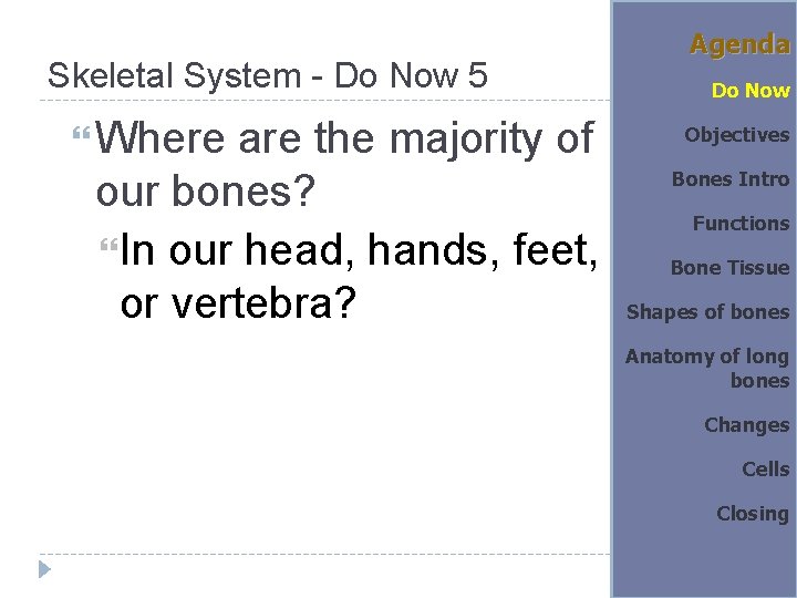Skeletal System - Do Now 5 Where are the majority of our bones? In