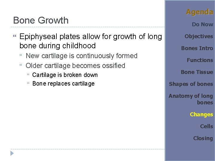 Bone Growth Epiphyseal plates allow for growth of long bone during childhood New cartilage