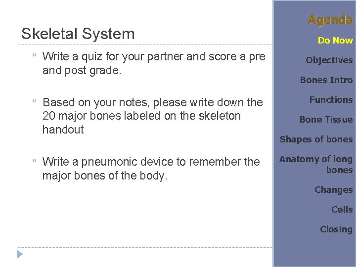 Skeletal System Write a quiz for your partner and score a pre and post