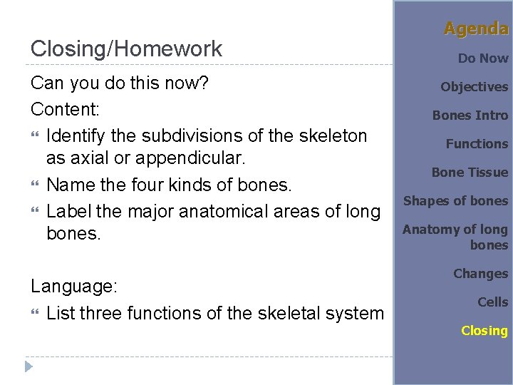 Closing/Homework Can you do this now? Content: Identify the subdivisions of the skeleton as