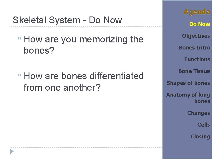 Skeletal System - Do Now How are you memorizing the bones? Agenda Do Now