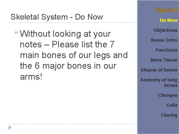 Skeletal System - Do Now Without looking at your notes – Please list the