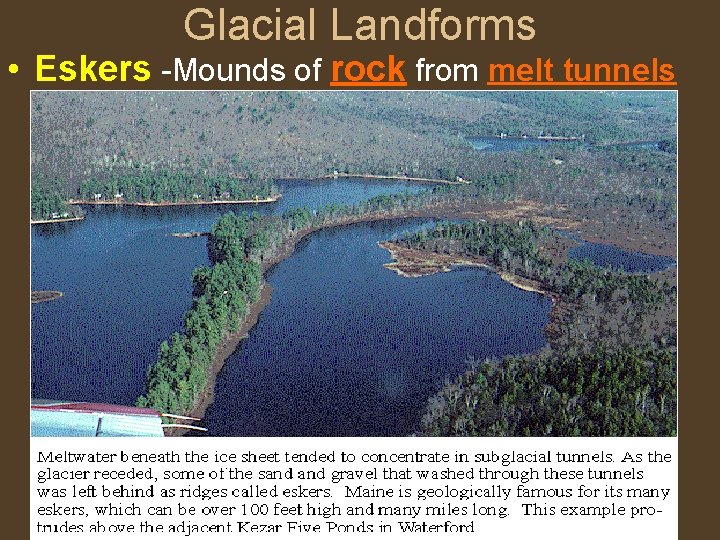 Glacial Landforms • Eskers -Mounds of rock from melt tunnels 