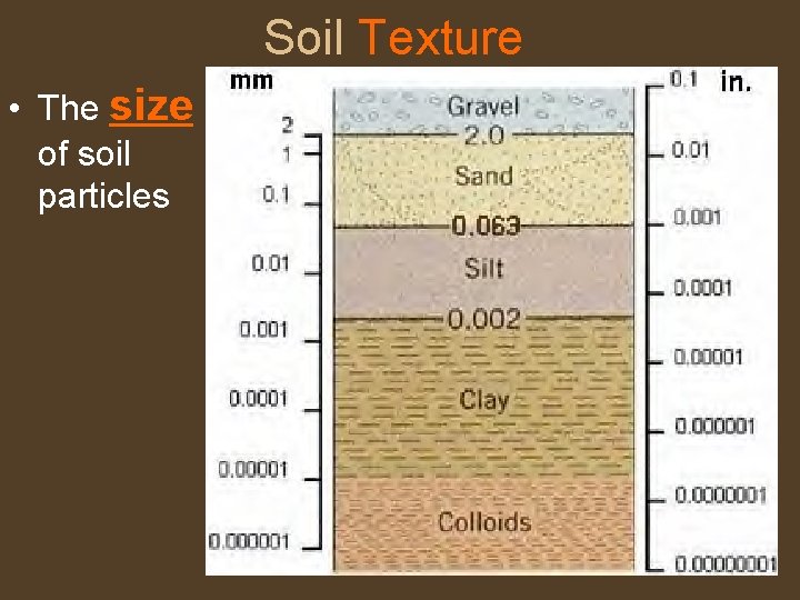 Soil Texture • The size of soil particles 