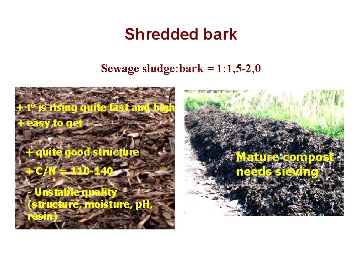 Shredded bark Sewage sludge: bark = 1: 1, 5 -2, 0 + t 0