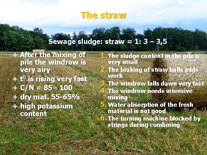 The straw Sewage sludge: straw = 1: 3 – 3, 5 + After the