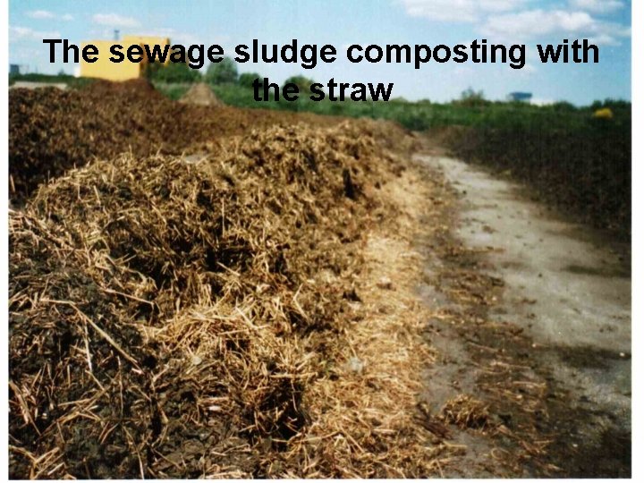 The sewage sludge composting with the straw 