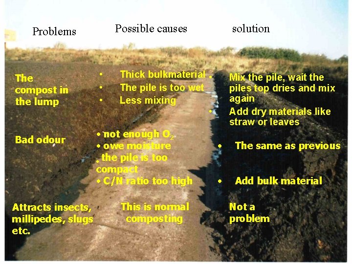 Possible causes Problems The compost in the lump Bad odour Attracts insects, millipedes, slugs