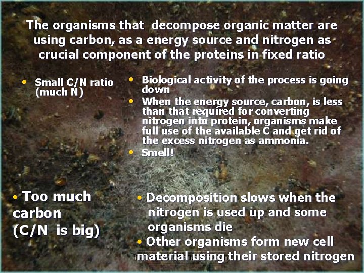 The organisms that decompose organic matter are using carbon, as a energy source and