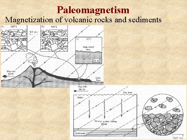 Paleomagnetism Magnetization of volcanic rocks and sediments 
