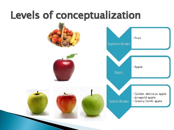 Levels of conceptualization • Fruit Superordinate • Apple Basic Subordinate • Golden delicious apple