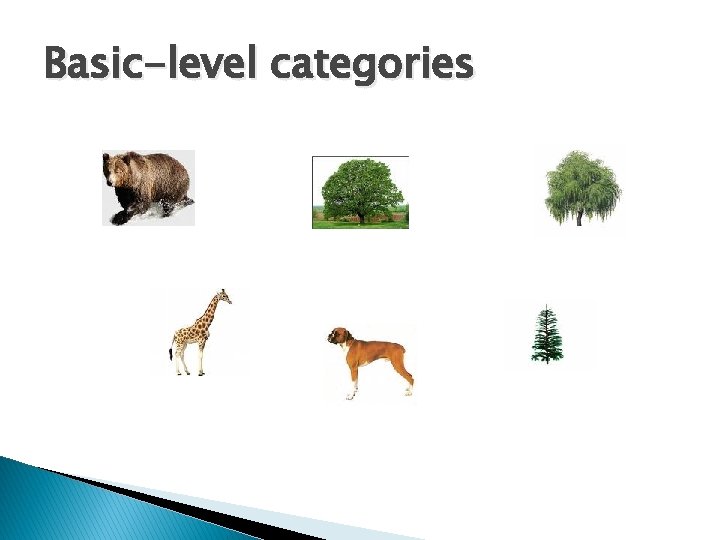 Basic-level categories 