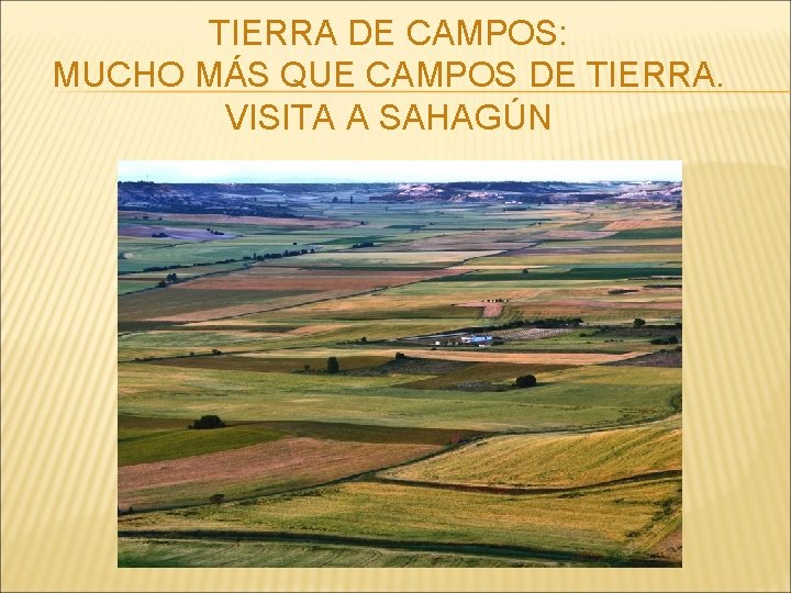 TIERRA DE CAMPOS: MUCHO MÁS QUE CAMPOS DE TIERRA. VISITA A SAHAGÚN 