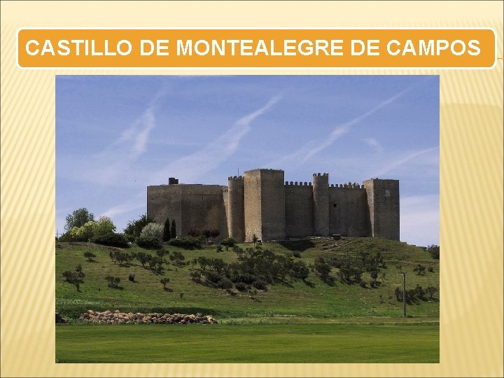 CASTILLO DE MONTEALEGRE DE CAMPOS 