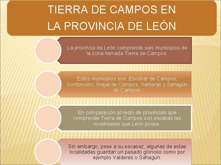 TIERRA DE CAMPOS EN LA PROVINCIA DE LEÓN La provincia de León comprende seis