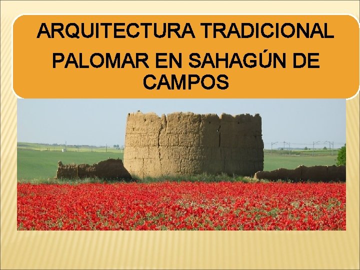 ARQUITECTURA TRADICIONAL PALOMAR EN SAHAGÚN DE CAMPOS 