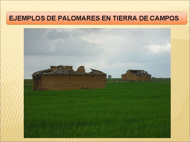 EJEMPLOS DE PALOMARES EN TIERRA DE CAMPOS 