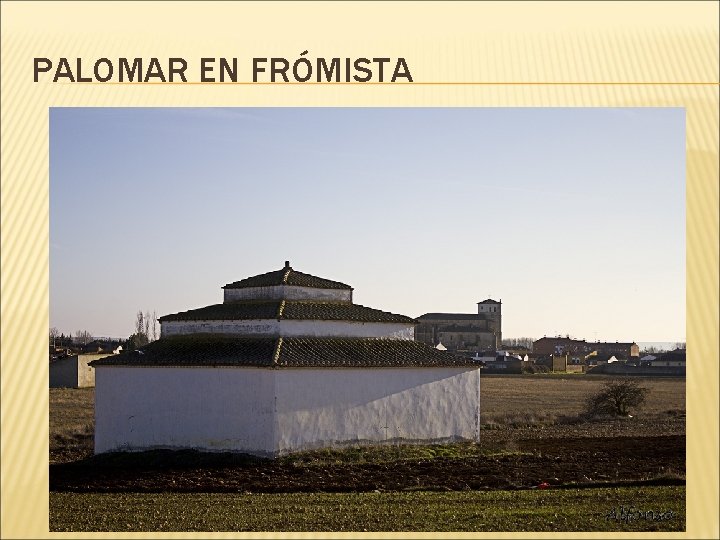 PALOMAR EN FRÓMISTA 