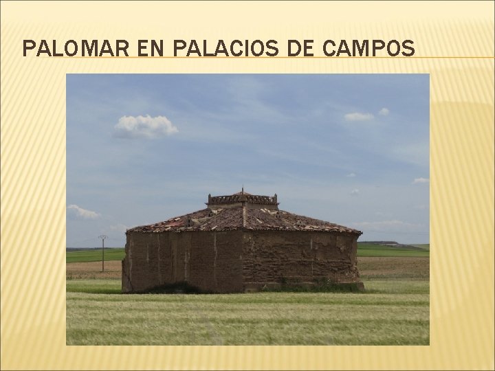 PALOMAR EN PALACIOS DE CAMPOS 