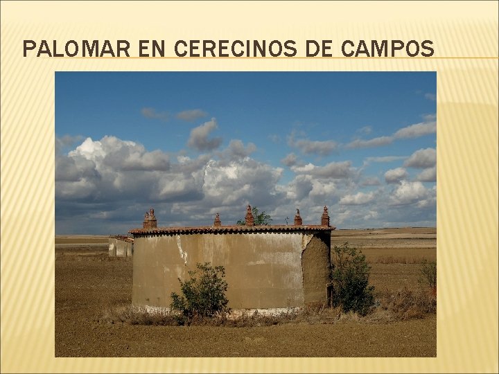 PALOMAR EN CERECINOS DE CAMPOS 