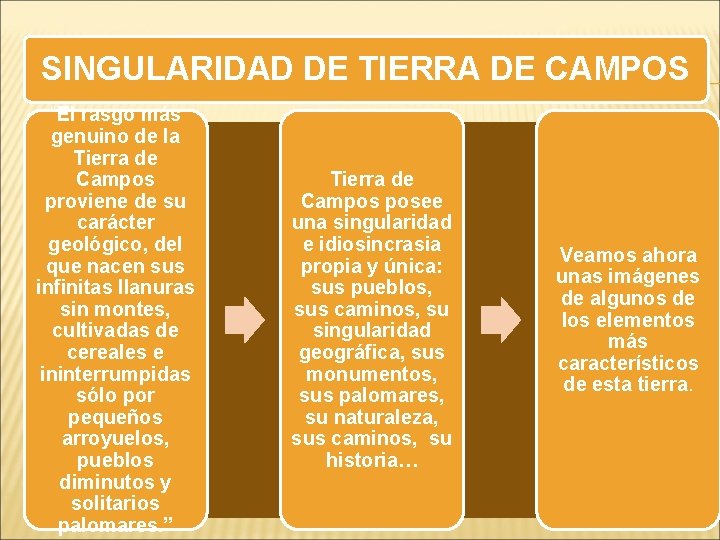 SINGULARIDAD DE TIERRA DE CAMPOS “El rasgo más genuino de la Tierra de Campos