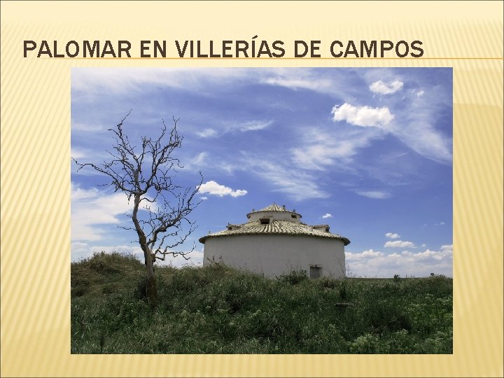 PALOMAR EN VILLERÍAS DE CAMPOS 