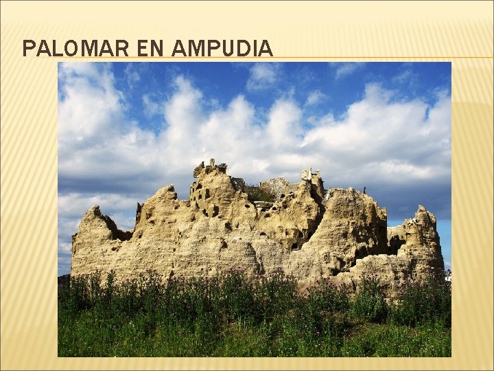PALOMAR EN AMPUDIA 