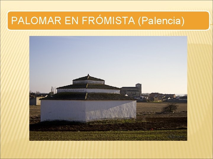 PALOMAR EN FRÓMISTA (Palencia) 