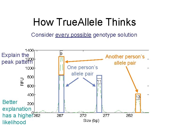 How True. Allele Thinks Consider every possible genotype solution Explain the peak pattern Better