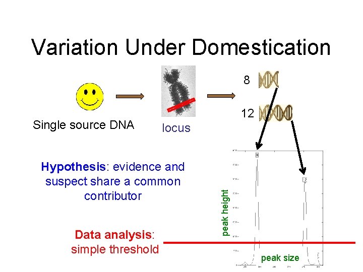 Variation Under Domestication 8 locus Hypothesis: evidence and suspect share a common contributor Data