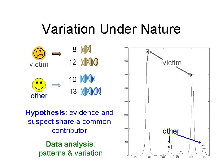 Variation Under Nature 8 victim 12 victim 10 other 13 Hypothesis: evidence and suspect