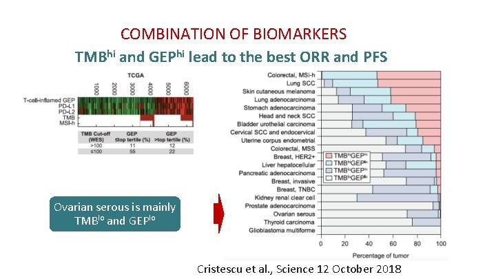 COMBINATION OF BIOMARKERS TMBhi and GEPhi lead to the best ORR and PFS Ovarian