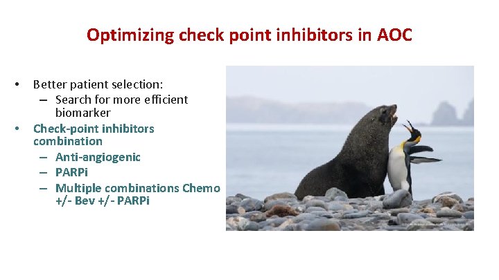 Optimizing check point inhibitors in AOC • • Better patient selection: – Search for