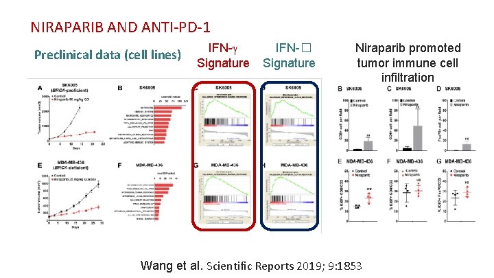 NIRAPARIB AND ANTI-PD-1 Preclinical data (cell lines) IFN-g Signature IFN-� Signature Niraparib promoted tumor