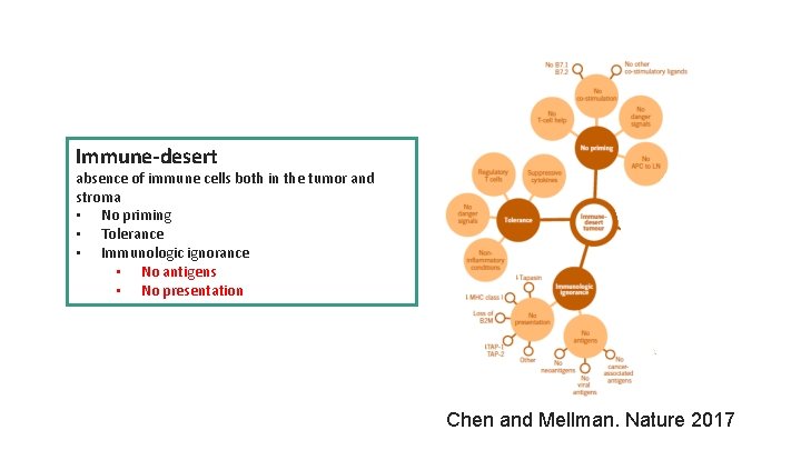 Immune-desert absence of immune cells both in the tumor and stroma • No priming