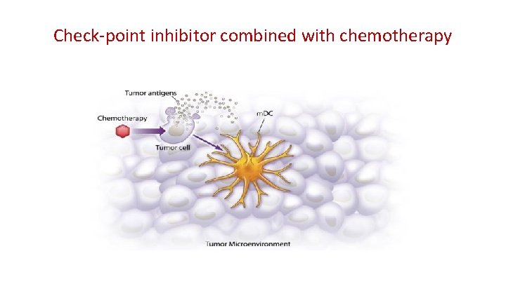 Check-point inhibitor combined with chemotherapy 