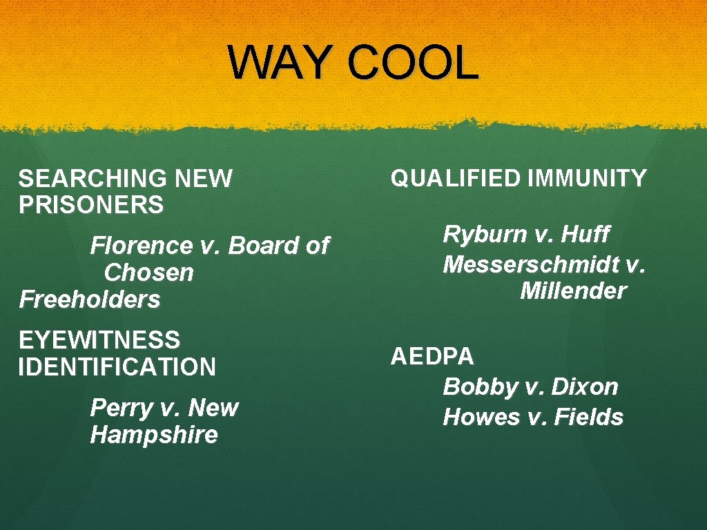 WAY COOL SEARCHING NEW PRISONERS Florence v. Board of Chosen Freeholders EYEWITNESS IDENTIFICATION Perry