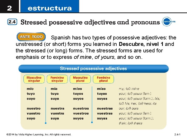 Spanish has two types of possessive adjectives: the unstressed (or short) forms you learned