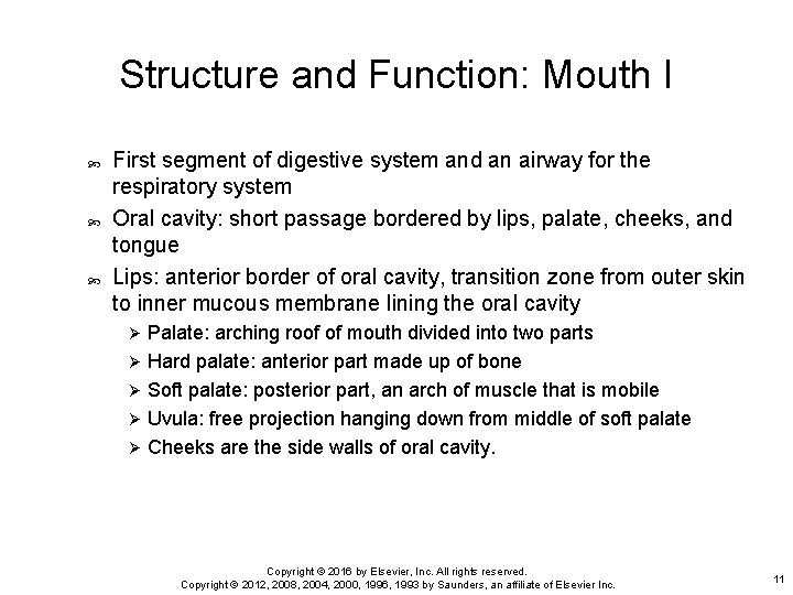 Structure and Function: Mouth I First segment of digestive system and an airway for