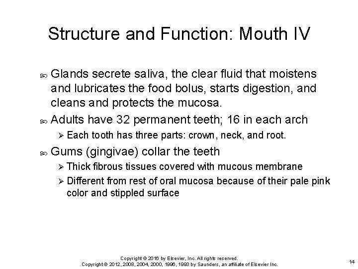 Structure and Function: Mouth IV Glands secrete saliva, the clear fluid that moistens and